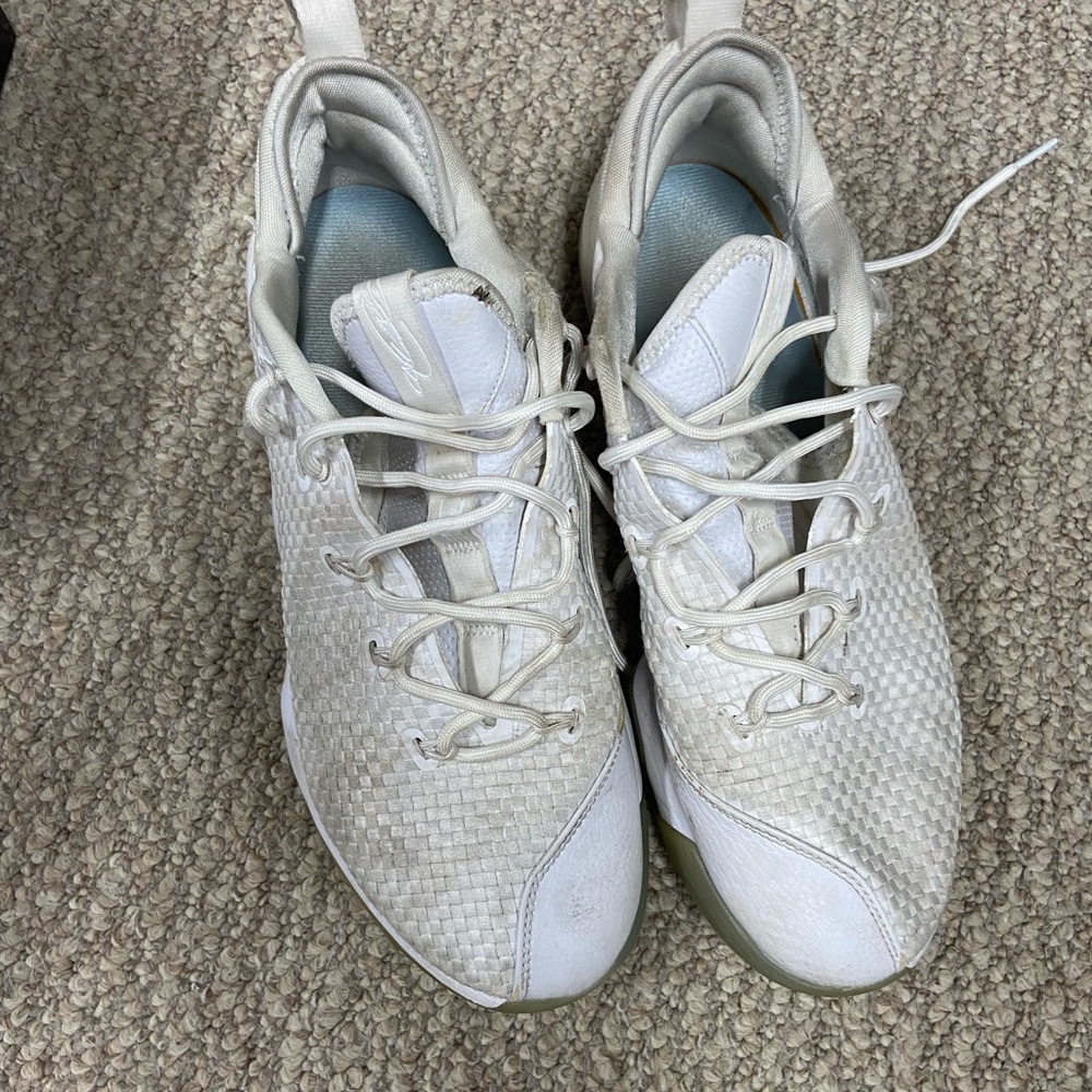 Size 11.5 Lebrons